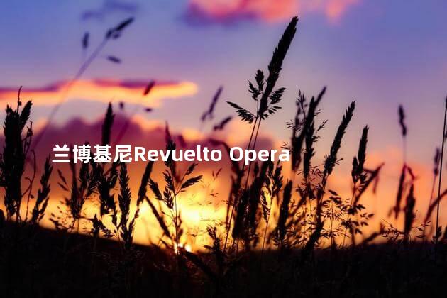 兰博基尼Revuelto Opera Unica官图